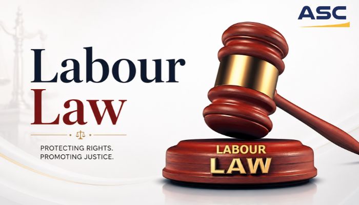 Labour Law